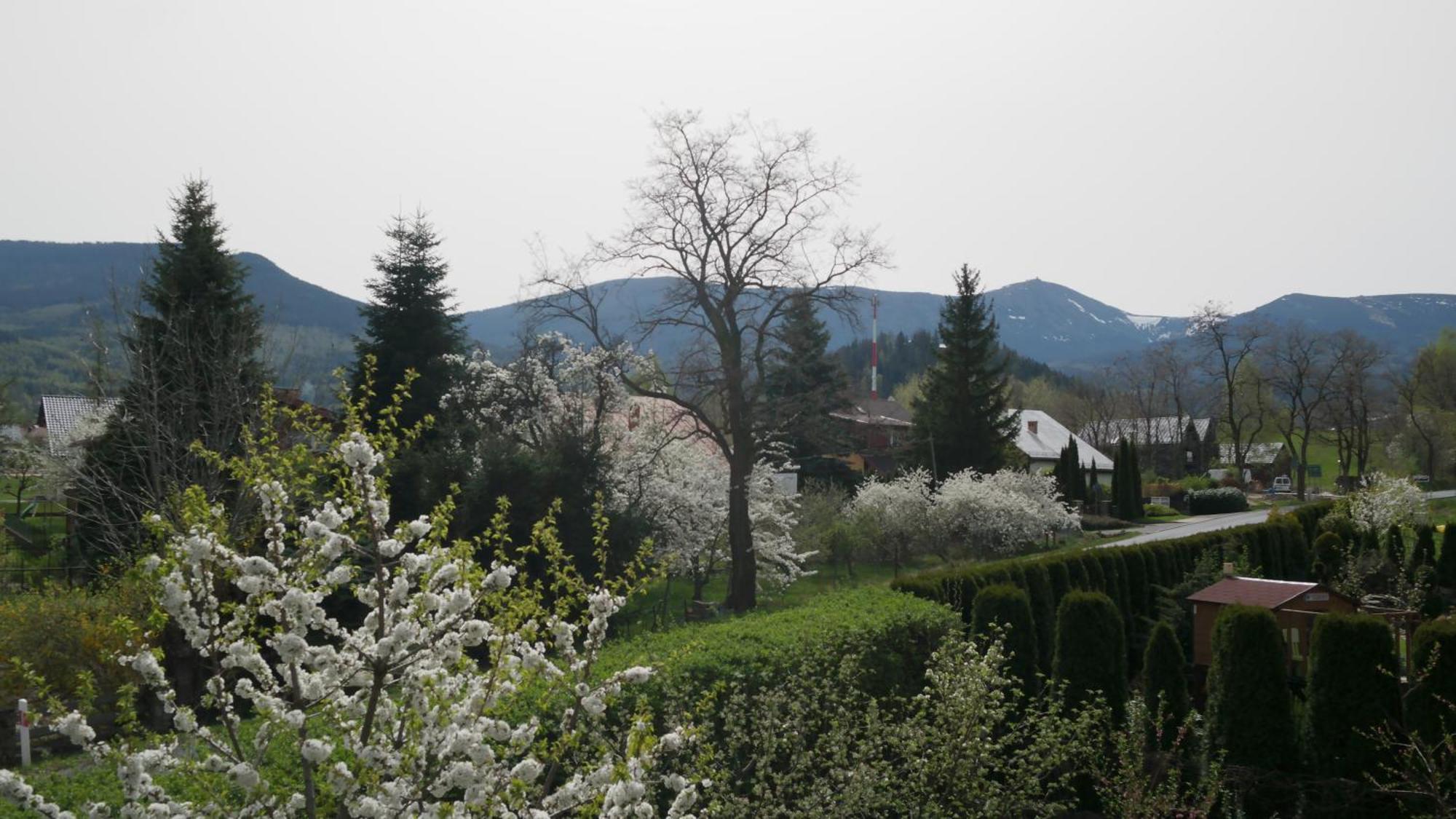 Teraz
